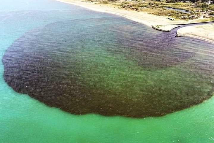 inquinamento mare olio recupero olio -1